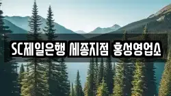 SC제일은행 세종지점 홍성영업소