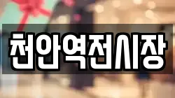 천안역전시장