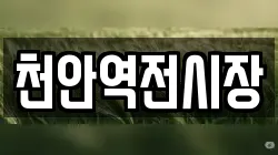 천안역전시장