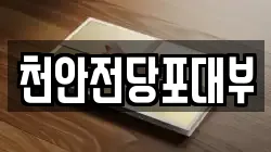 천안전당포대부