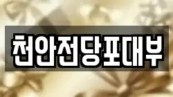 천안전당포대부