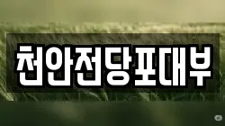 천안전당포대부