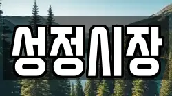 성정시장