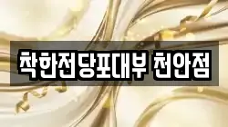 착한전당포대부 천안점