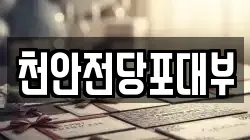 천안전당포대부