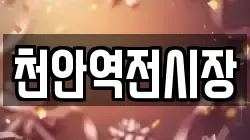 천안역전시장