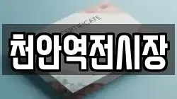 천안역전시장