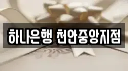 하나은행 천안중앙지점