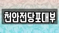 천안전당포대부