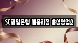 SC제일은행 세종지점 홍성영업소
