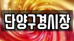 단양구경시장