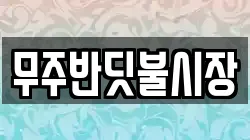 무주반딧불시장