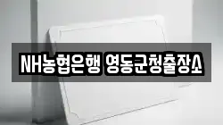 NH농협은행 영동군청출장소