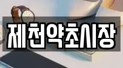제천약초시장
