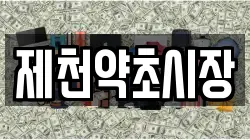 제천약초시장