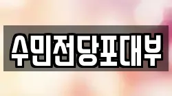 수민전당포대부