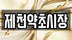 제천약초시장
