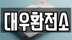 대우환전소