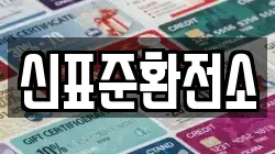 신표준환전소