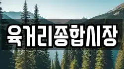 육거리종합시장