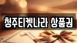 청주티켓나라 상품권