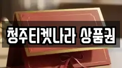 청주티켓나라 상품권