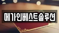 메가인베스트솔루션