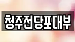 청주전당포대부