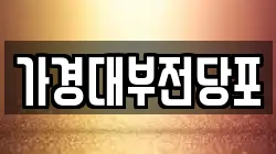 가경대부전당포