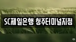 SC제일은행 청주터미널지점