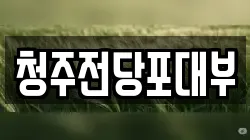 청주전당포대부