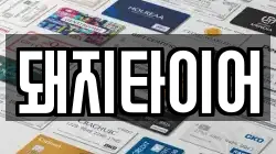 돼지타이어