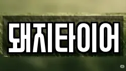 돼지타이어