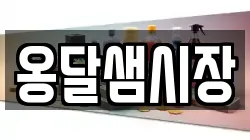 옹달샘시장