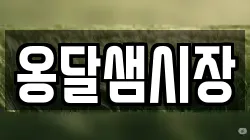 옹달샘시장
